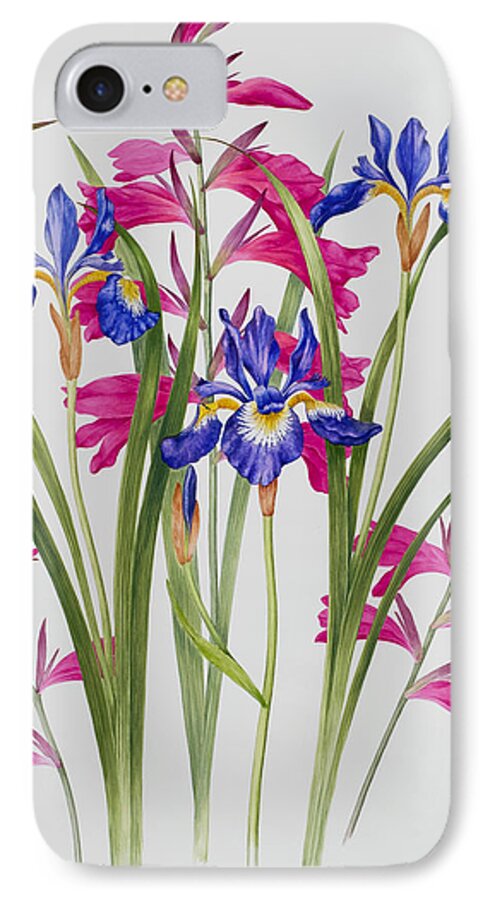 Gladiolus And Iris Sibirica iPhone 7 Case featuring the painting Gladiolus and Iris Sibirica by Sally Crosthwaite