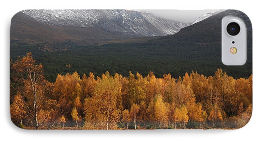 Autumn Gold iPhone 7 Case featuring the photograph Golden Autumn - Cairngorm Mountains by Phil Banks