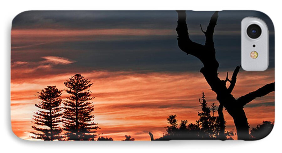 #sunset iPhone 7 Case featuring the photograph Good Night Trees by Miroslava Jurcik