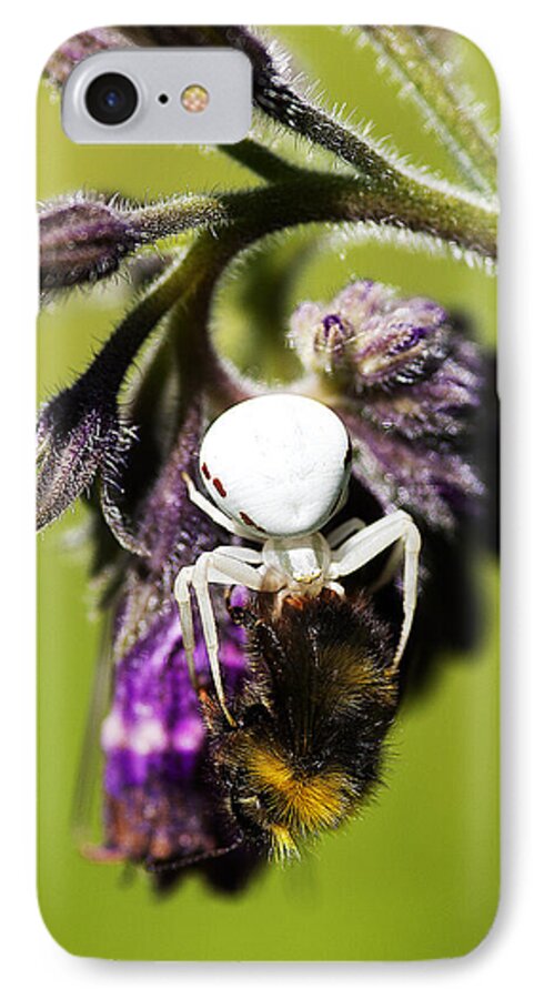 Insects Image Print iPhone 7 Case featuring the photograph Gotcha by David Davies