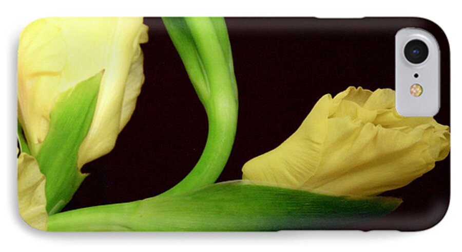 Gladiola iPhone 7 Case featuring the photograph Gracefully Dawning by Deborah Crew-Johnson