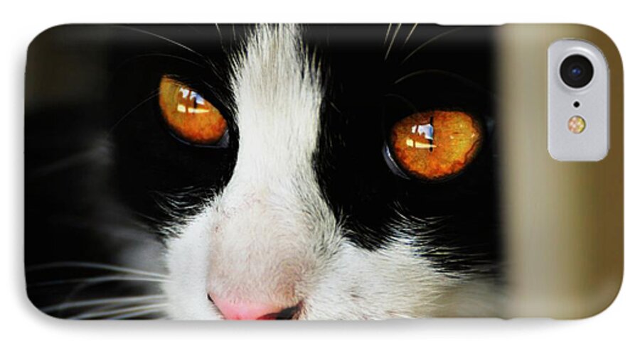 Cat iPhone 7 Case featuring the photograph Gracie's Eyes by Phillip Garcia