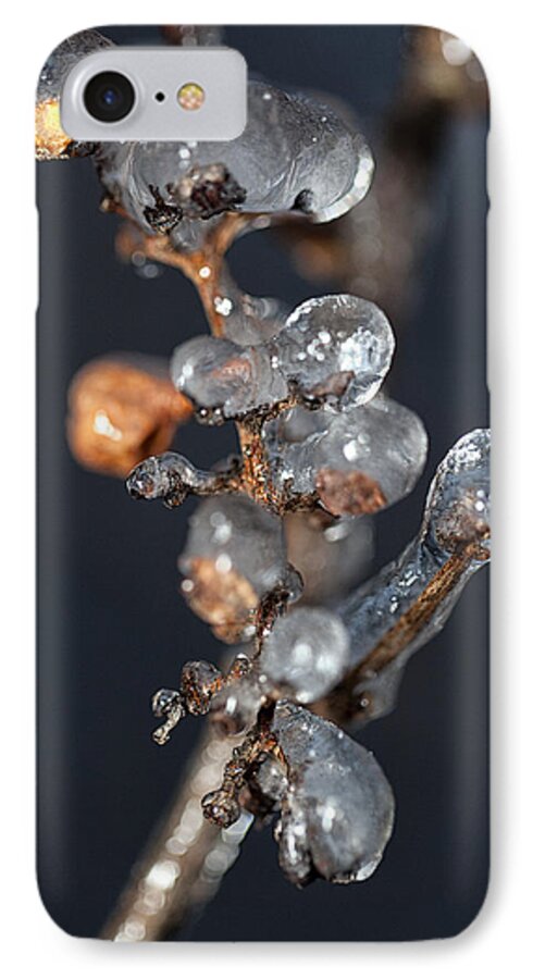 Ice iPhone 7 Case featuring the photograph Grape Ice by Eunice Gibb