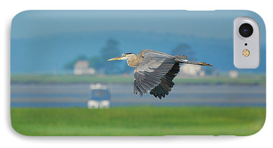 Great Blue Heron iPhone 7 Case featuring the photograph Great Blue heron by Nancy Landry