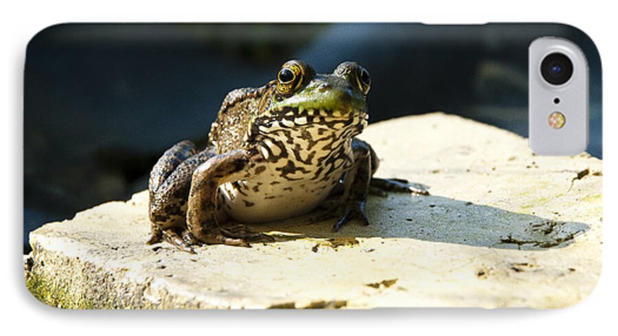 Jma iPhone 7 Case featuring the photograph Green Frog - Lookin at Yah by Janice Adomeit