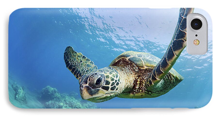 Animal iPhone 7 Case featuring the photograph Green Sea Turtle - Maui by M Swiet Productions