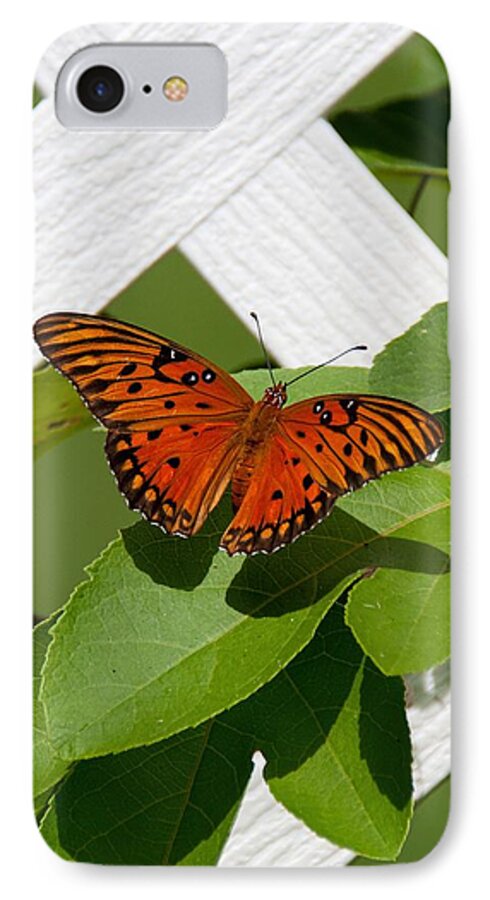 Butterfly iPhone 7 Case featuring the photograph Gulf Fritillary on Passion Flower Vine by John Black