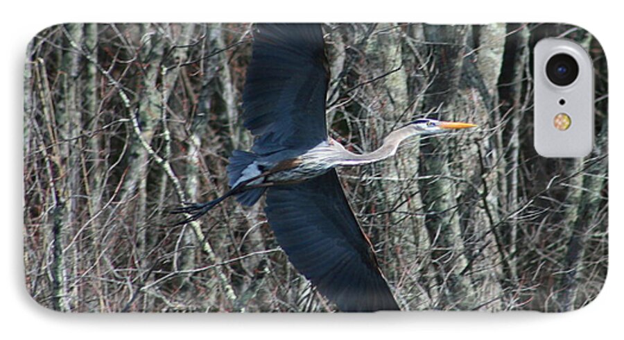 Heron iPhone 7 Case featuring the photograph Hallelujah by Neal Eslinger