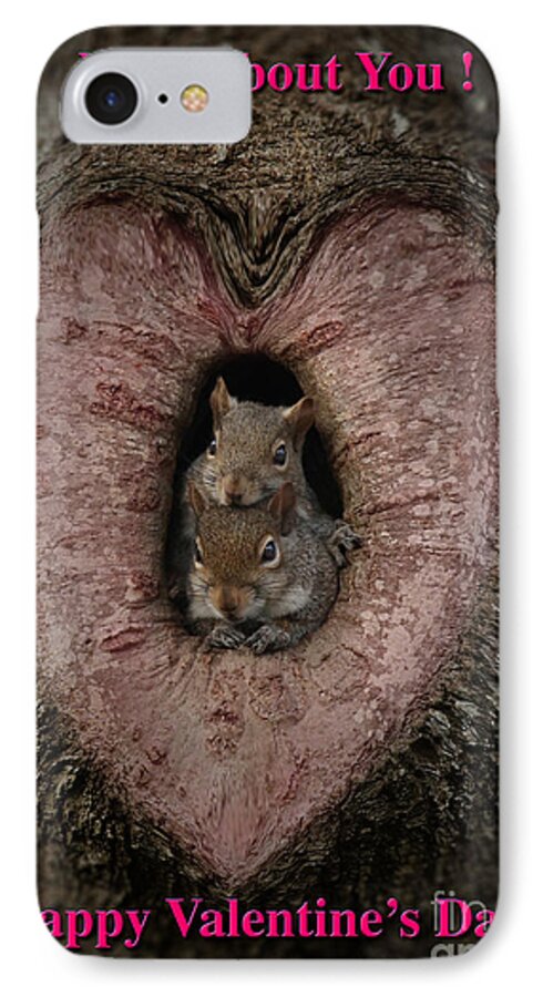 Valentine's iPhone 7 Case featuring the photograph Happy Valentine Squirrels by D Wallace