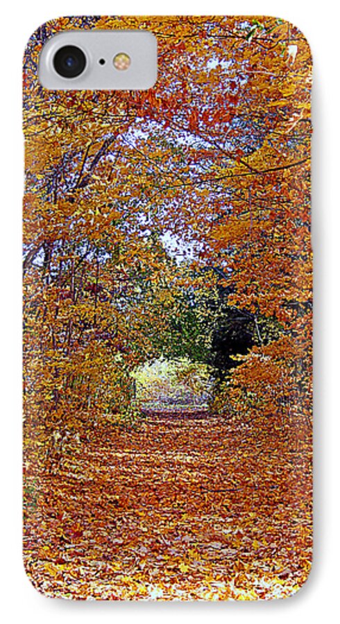 Hawthorn Hollow iPhone 7 Case featuring the photograph Hawthorn Hollow by Kay Novy