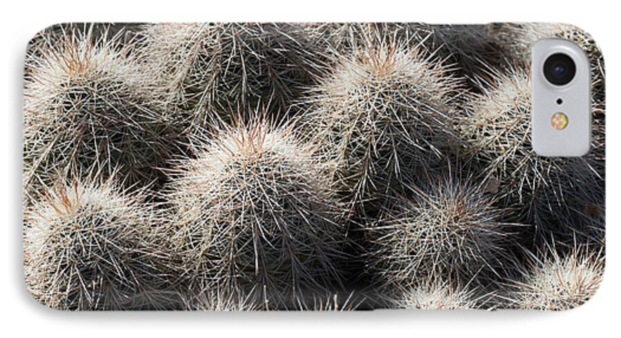 Hedgehog Cactus iPhone 7 Case featuring the photograph Hedgehog Cactus by Avian Resources