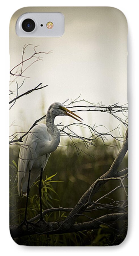 Egret iPhone 7 Case featuring the photograph Heron At Dusk by Bradley R Youngberg