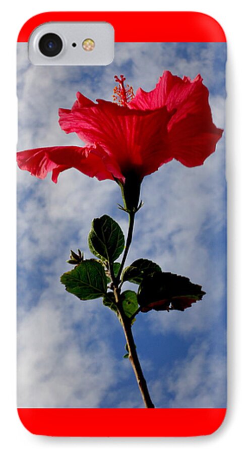 Hibiscus iPhone 7 Case featuring the photograph Hibiscus in the Sky by Peter Mooyman