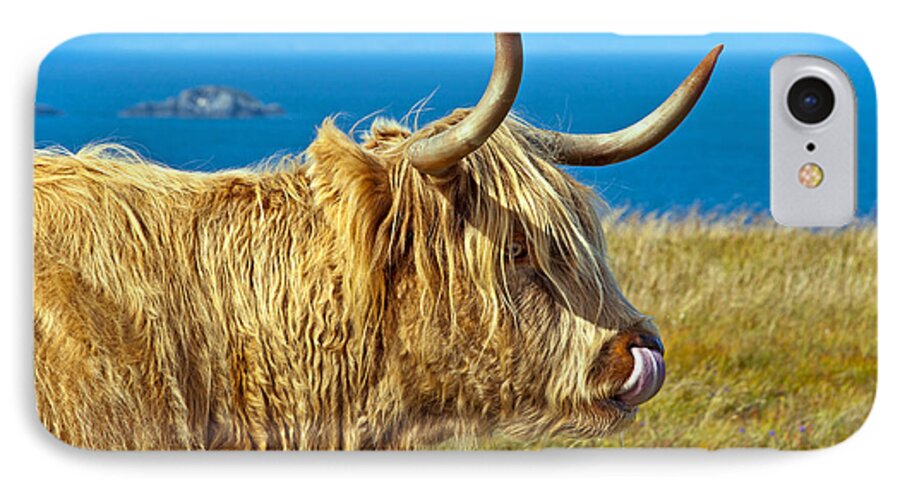 Highland Cattle iPhone 7 Case featuring the photograph Highland Beauty by Bel Menpes