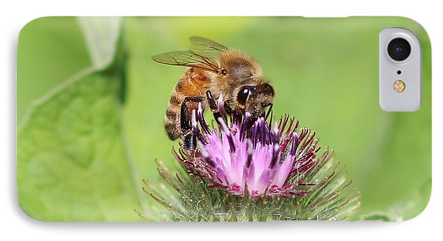 Honeybee iPhone 7 Case featuring the photograph Honeybee on Burdock by Lucinda VanVleck