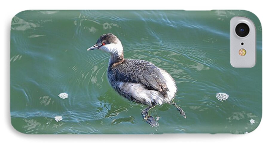 Nature iPhone 7 Case featuring the photograph Horned Grebe by James Petersen