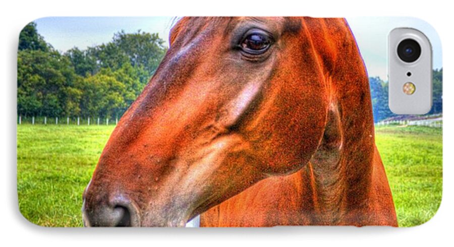 Horse iPhone 7 Case featuring the photograph Horse Closeup by Jonny D