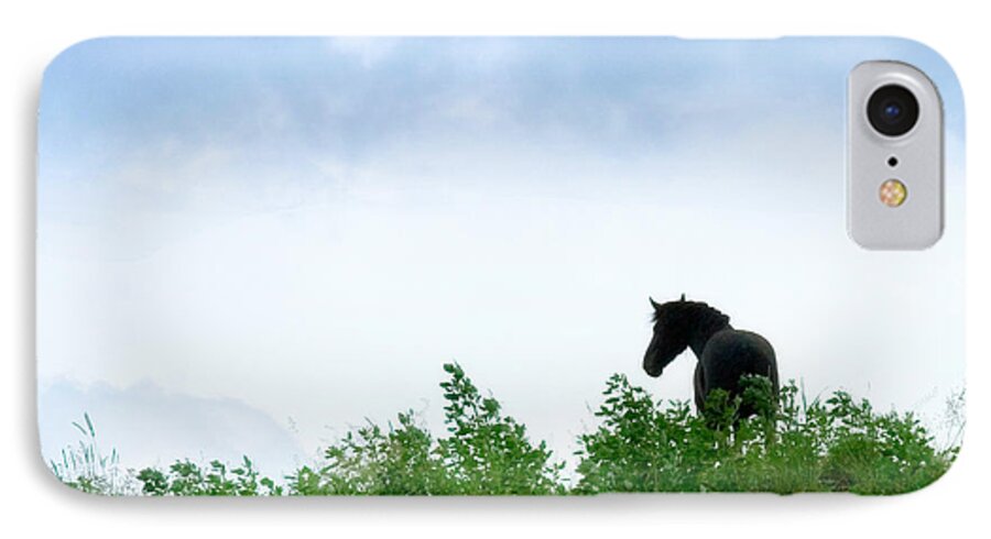 Flatlandsfoto iPhone 7 Case featuring the photograph Horse On The Hill by Joan Davis