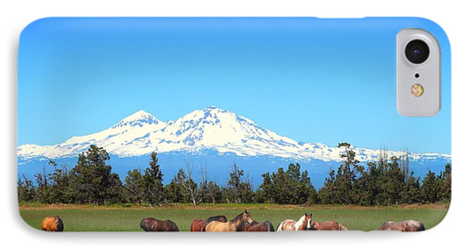 Sisters Mountain iPhone 7 Case featuring the photograph Horses at Sisters Mountain by Lynn Hopwood