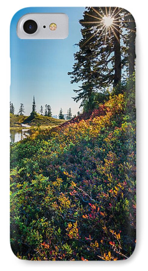 Mt. Baker iPhone 7 Case featuring the photograph Huckleberry Afternoon by Gene Garnace