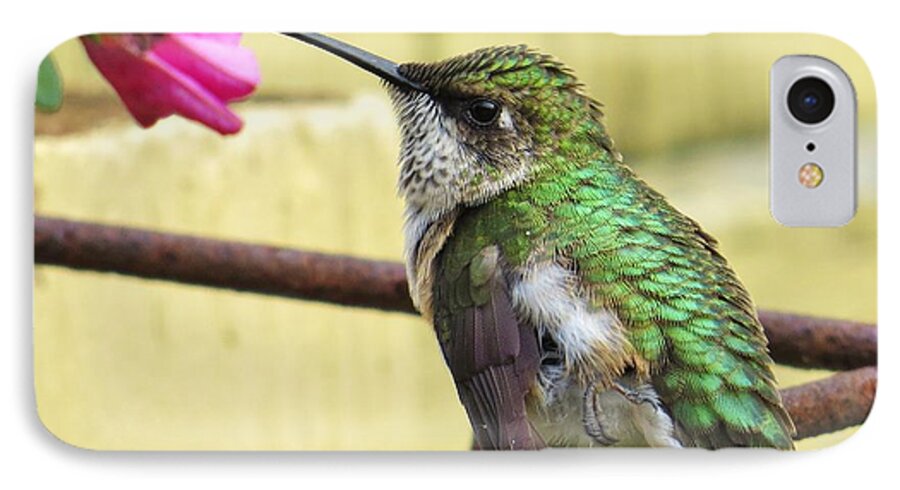 Hummingbird iPhone 7 Case featuring the photograph Hummingbird Details 4 by Judy Via-Wolff