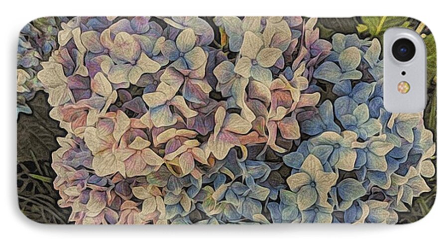 Iphone iPhone 7 Case featuring the photograph Hydrangea Blossoms by Victoria Porter