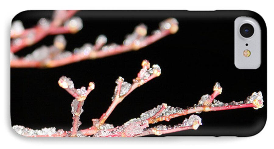Winter iPhone 7 Case featuring the photograph Ice on a Tree by Vadim Levin