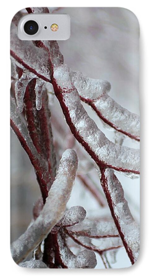 Tree Covered With Ice iPhone 7 Case featuring the photograph Ice on tree by Douglas Pike