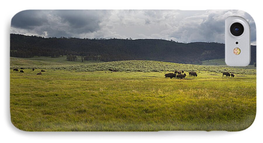 Buffalo iPhone 7 Case featuring the photograph Imagine by Belinda Greb