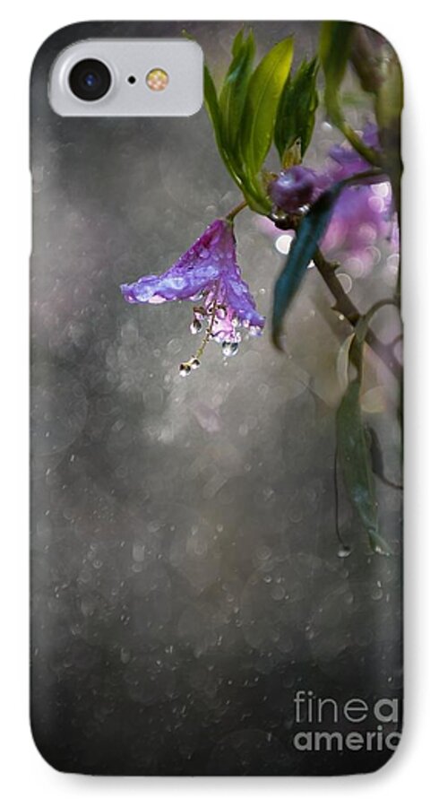 Blaminsky iPhone 7 Case featuring the photograph In the morning rain by Jaroslaw Blaminsky