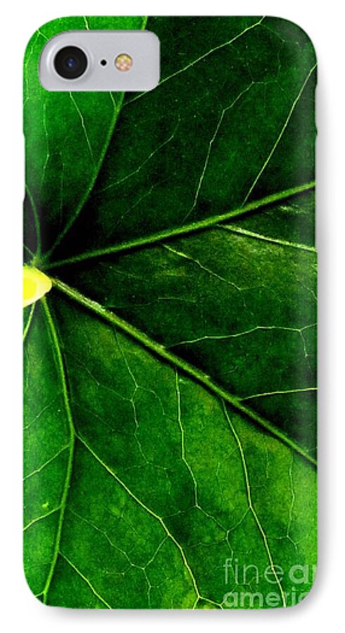 Pictures Of Leaves iPhone 7 Case featuring the photograph In The Viens by Sally Simon