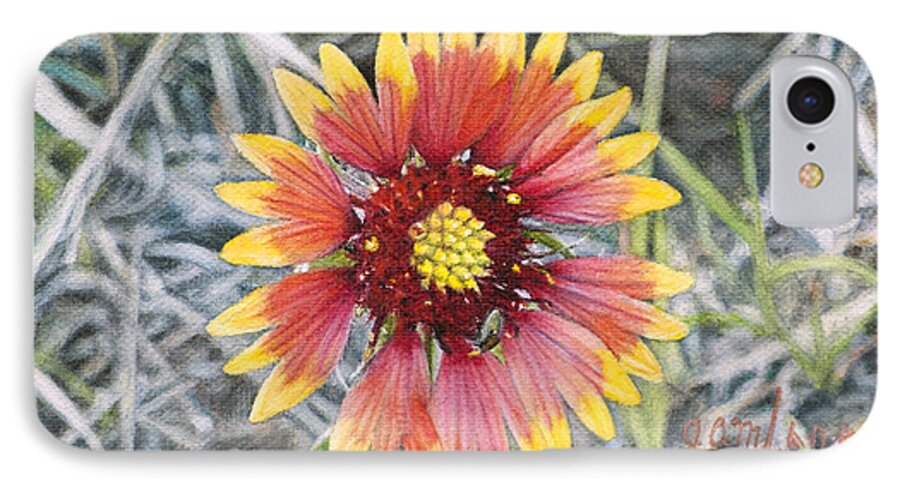 Flower iPhone 7 Case featuring the painting Indian Blanket by Joshua Martin