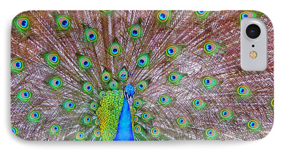 Peacock iPhone 7 Case featuring the photograph Indian Peacock by Deena Stoddard