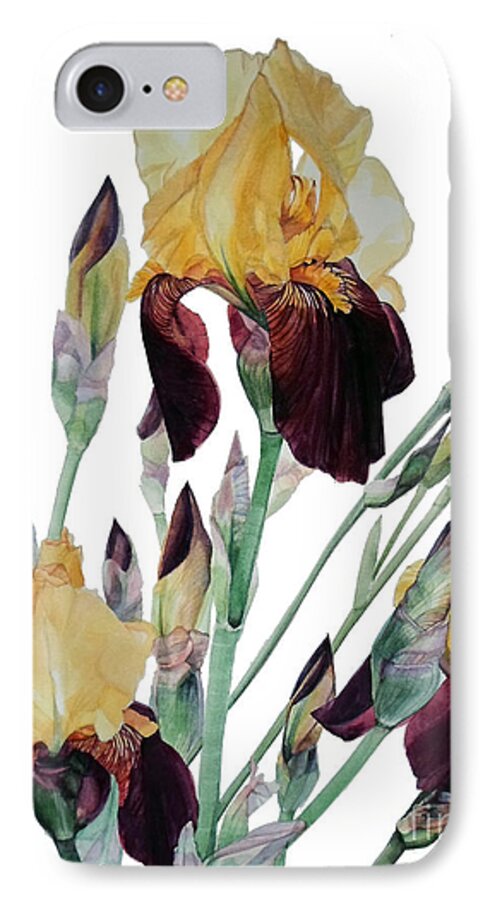 Watercolor iPhone 7 Case featuring the painting Watercolor of Tall Bearded Iris in Yellow and Maroon I call Iris Beethoven by Greta Corens