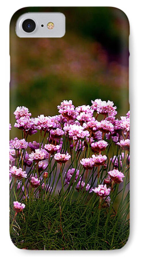 Fine Art Photography iPhone 7 Case featuring the photograph Irish Sea Pinks by Patricia Griffin Brett