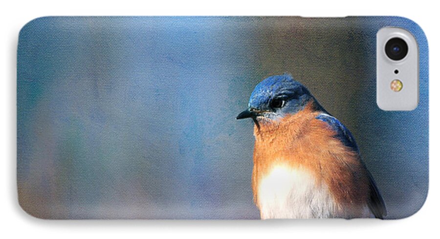 Nature iPhone 7 Case featuring the photograph January Bluebird by Olivia Hardwicke