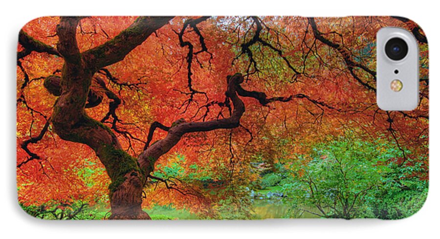 Portland iPhone 7 Case featuring the photograph Japanese Maple Tree in Autumn by David Gn