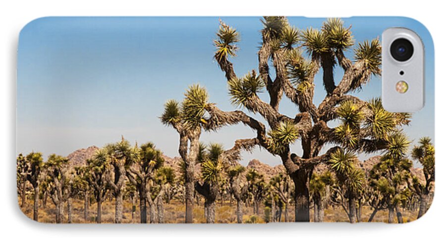 Joshua Tree iPhone 7 Case featuring the photograph Joshua Trees by Penny Lisowski