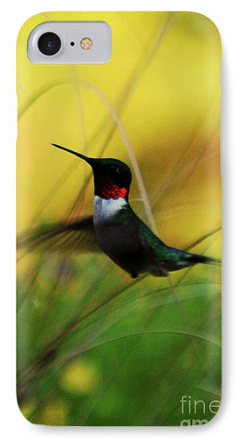 Hummingbird iPhone 7 Case featuring the photograph Just Flying by Lori Tambakis