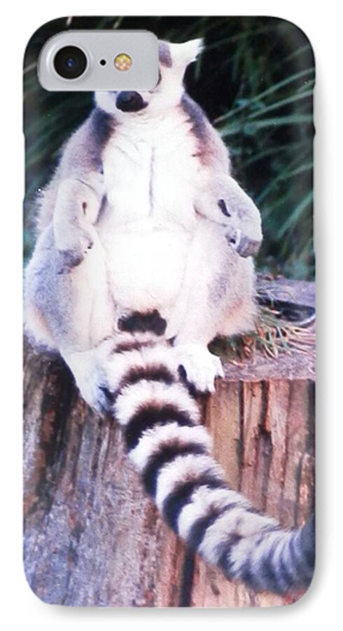 #lemurlife #goldeneyes #tampaflorida #summertime #animalpark iPhone 7 Case featuring the photograph Handsome Lemur Just Hanging Out by Belinda Lee