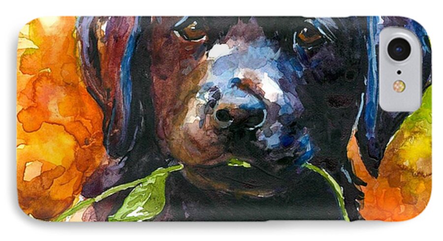 Black Lab Puppy iPhone 7 Case featuring the painting Just Picked by Molly Poole