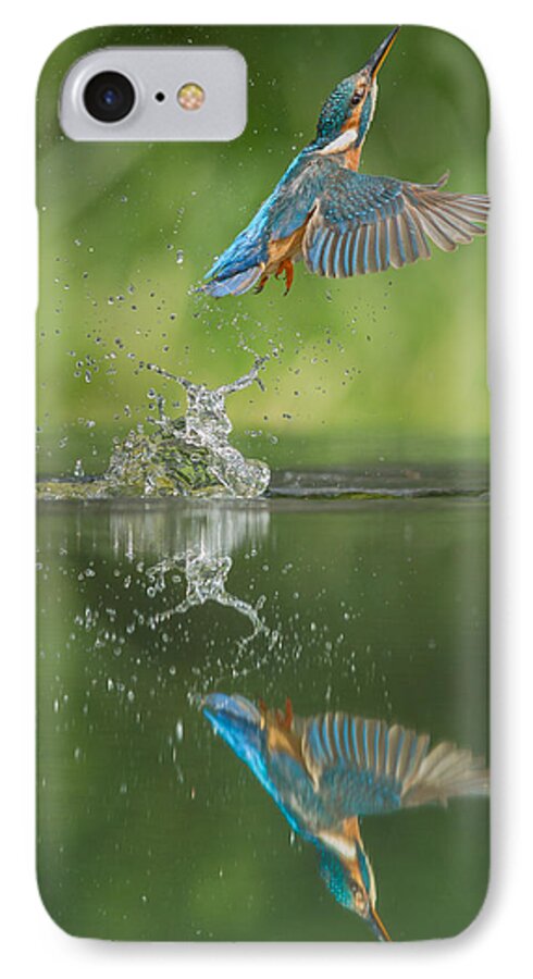 Kingfisher iPhone 7 Case featuring the photograph Kingfisher by Andy Astbury