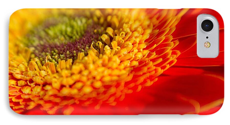 Flower iPhone 7 Case featuring the photograph Landscape of a Flower by Natalie Rotman Cote