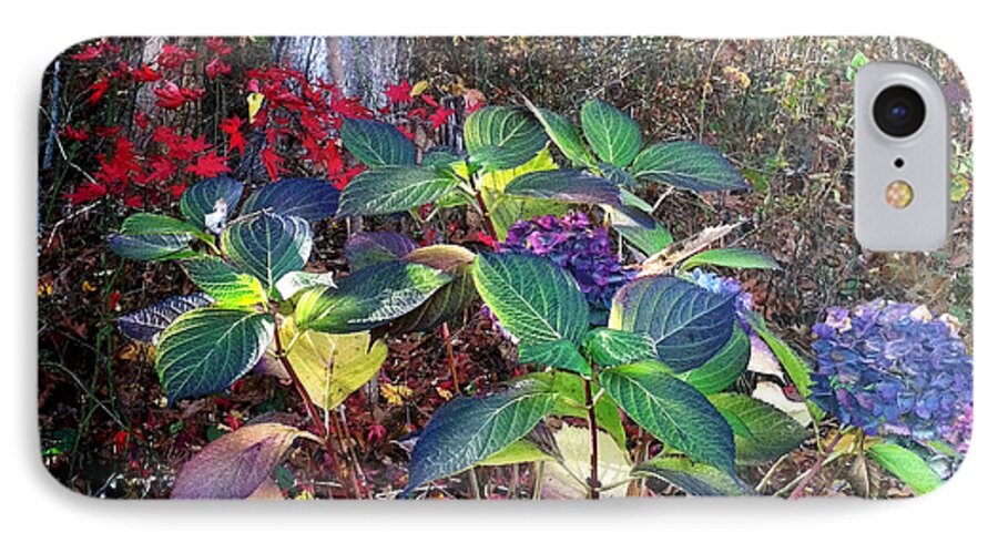 Hydrangeas iPhone 7 Case featuring the photograph Late Hydrangeas by Frank Winters