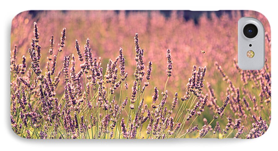 Lavender iPhone 7 Case featuring the photograph Lavender Dreams by Lynn Sprowl
