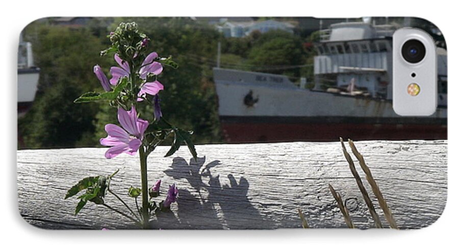 Flowers iPhone 7 Case featuring the photograph Life in the Boatyard by Laura Wong-Rose