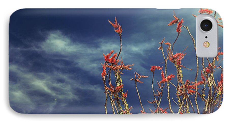 Joshua Tree National Park iPhone 7 Case featuring the photograph Like Flying Amongst the Clouds by Laurie Search