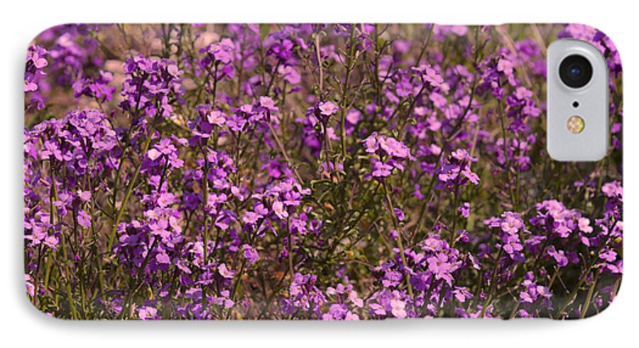 Anniversary iPhone 7 Case featuring the photograph Lilac by Svetlana Sewell