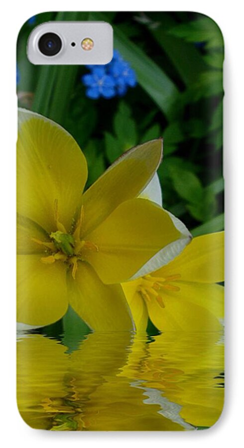 Waterscape iPhone 7 Case featuring the mixed media Lilium Of Gold by Pepita Selles