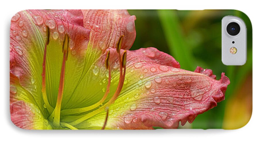 Lily iPhone 7 Case featuring the photograph Lily After The Rain by Beth Venner